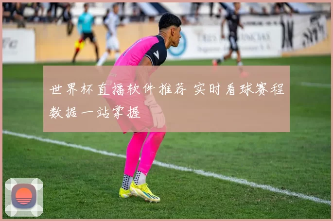 世界杯直播软件推荐 实时看球赛程数据一站掌握