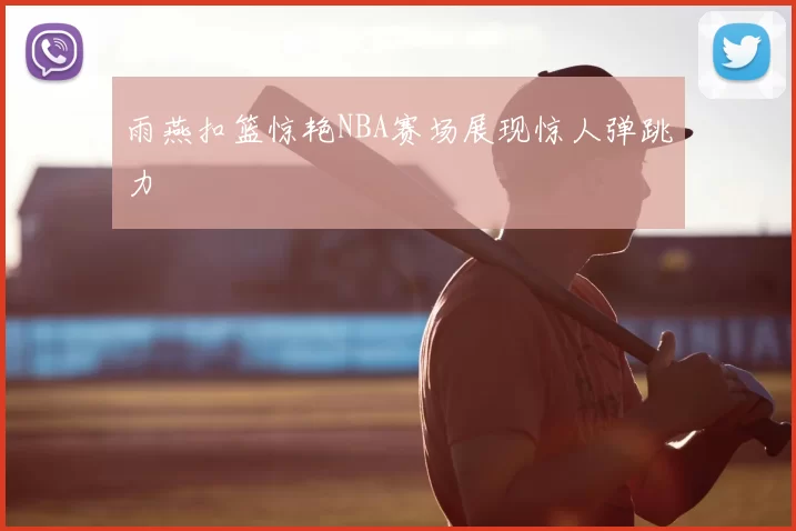雨燕扣篮惊艳NBA赛场展现惊人弹跳力